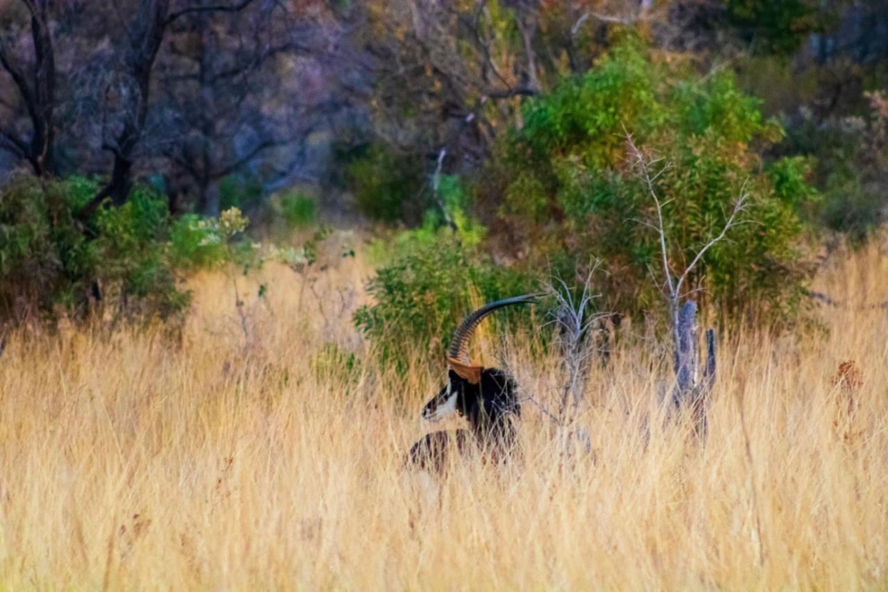 Fumani Game Lodge Modimolle Zewnętrze zdjęcie